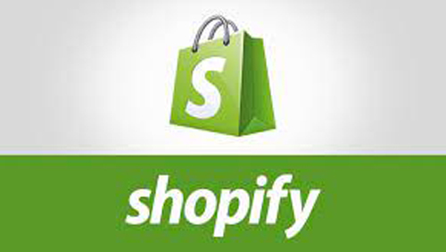 Shopify Store Development Course